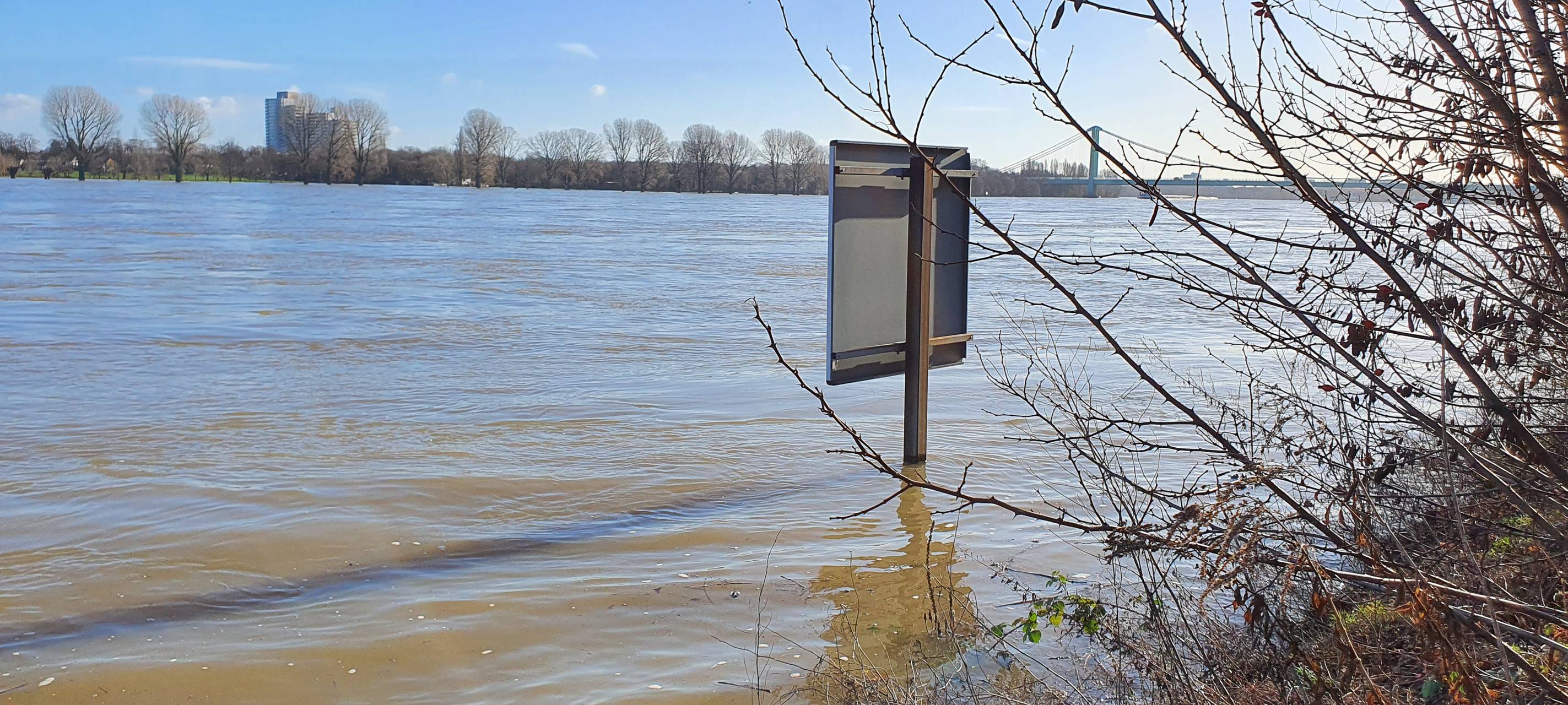 Rhein-Erft: Rhein steigt aus seinem Bett