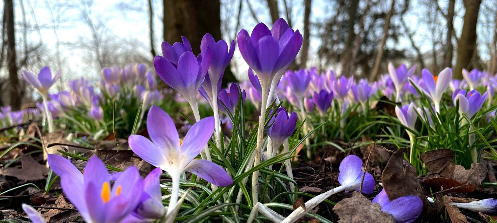 Rhein-Erft: Alle drängten in die Sonne