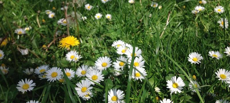 Glücksatlas: zufriedene Menschen an Rhein und Erft