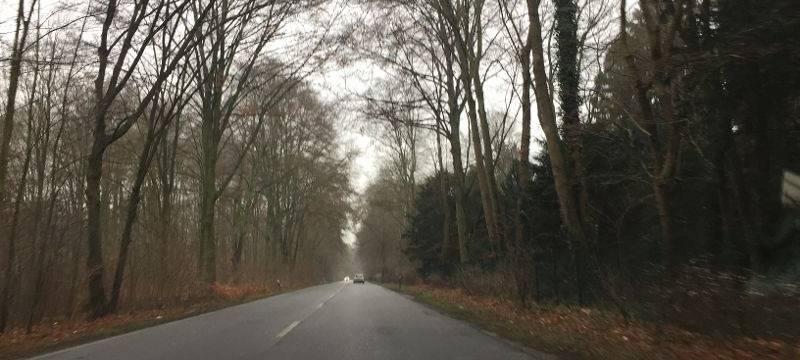 Viele Wildunfälle in der Region