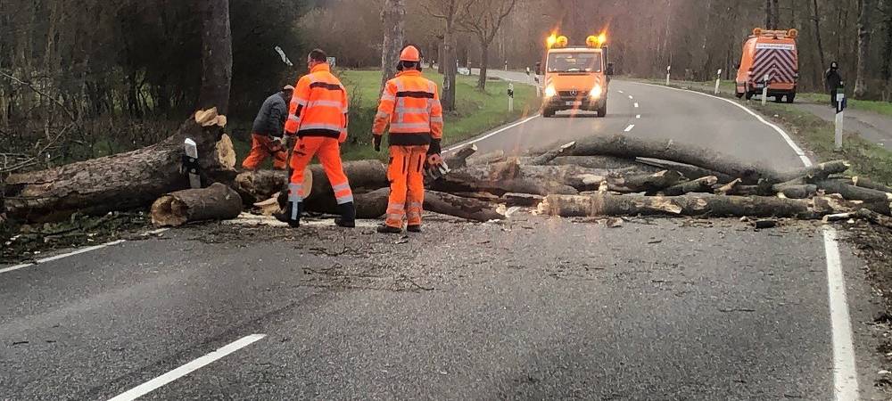 Rhein-Erft: Sturm sorgt für Straßensperrung und Blechschäden
