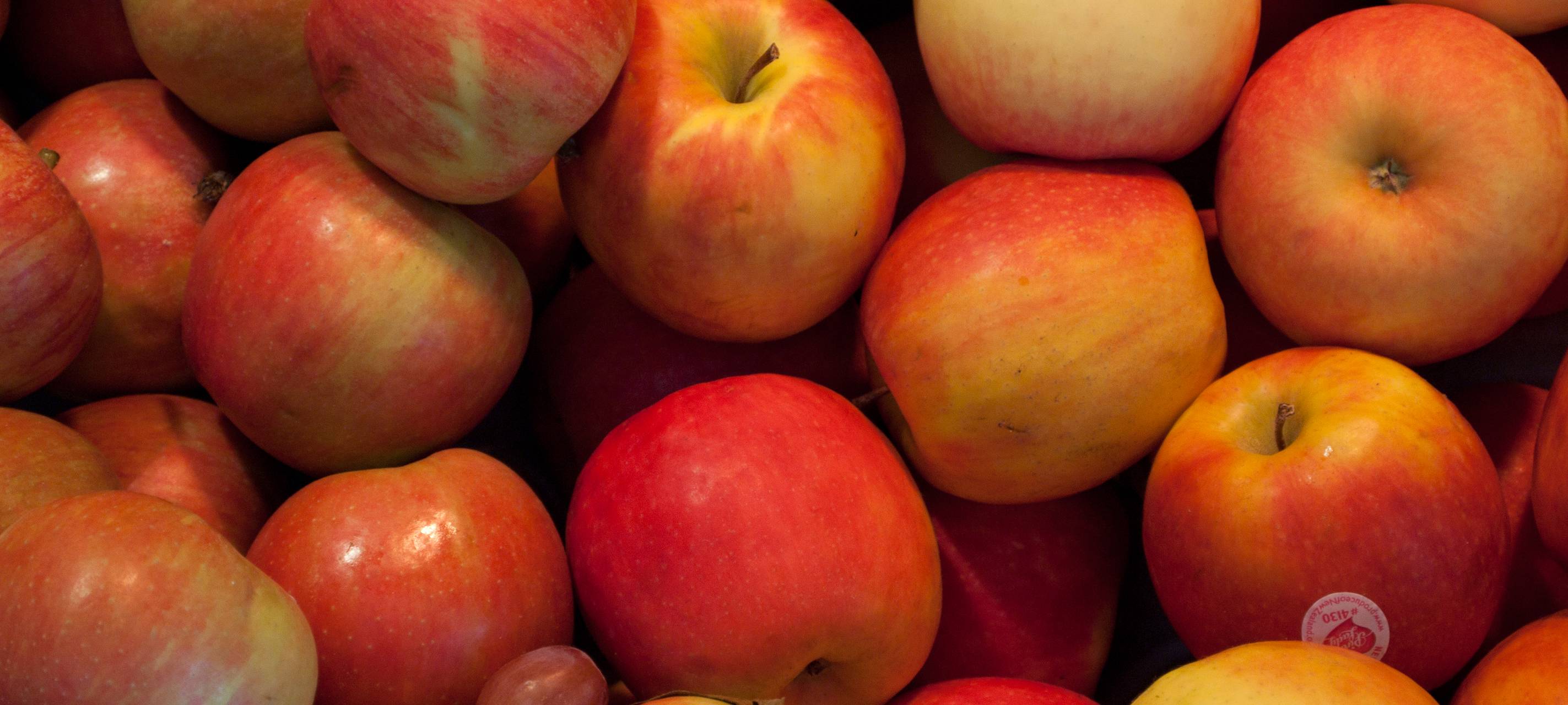 Herbstfest im Friesheimer Busch: Alles rund um den Apfel