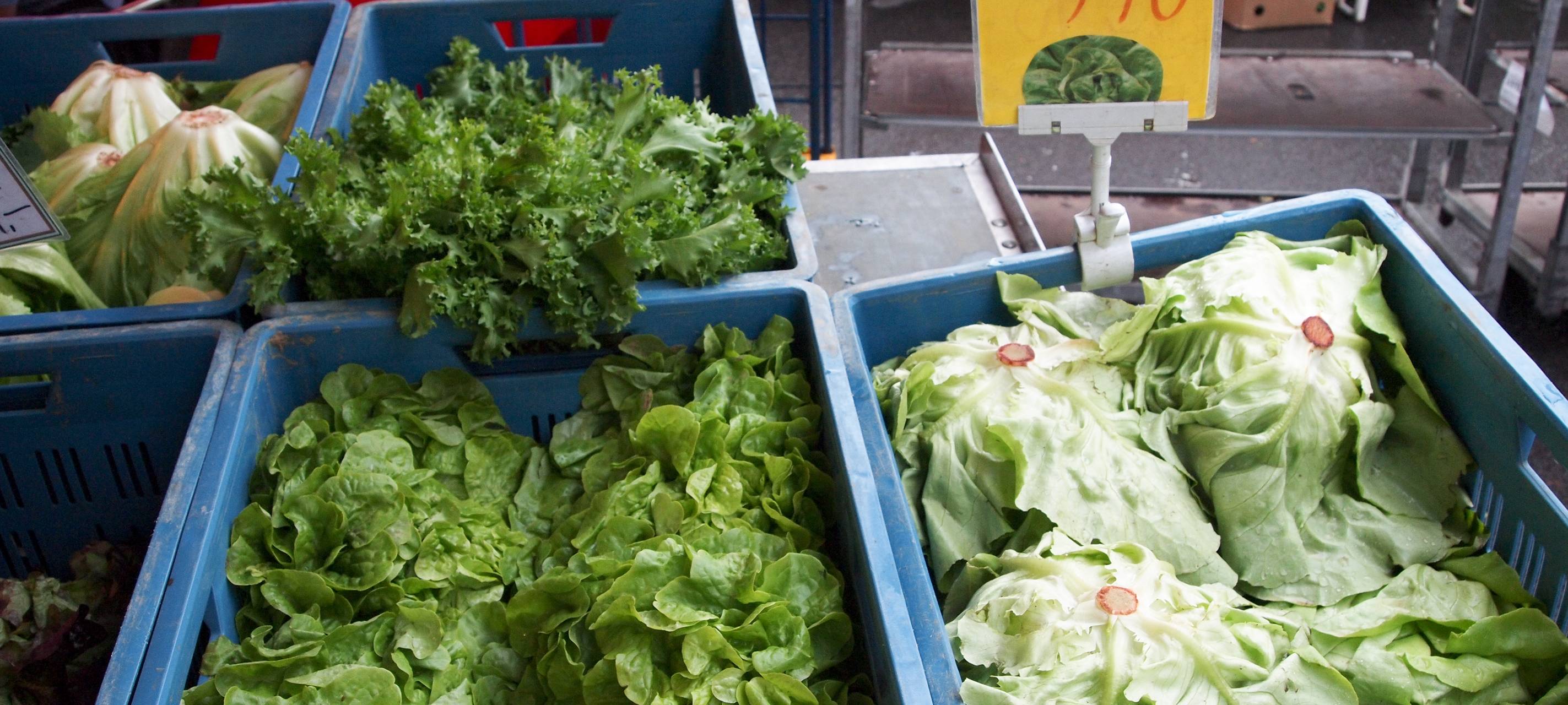 Rhein-Erft: Tipps gegen Einbrecher auf dem Wochenmarkt