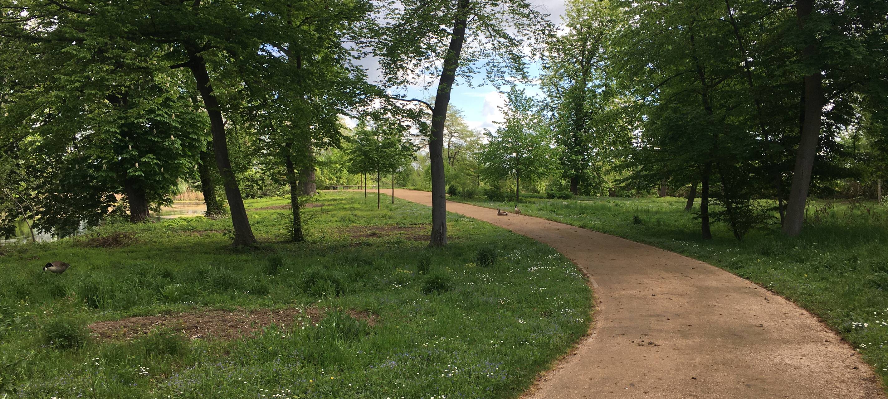 Wiedereröffnung vom Großen Inselweiher