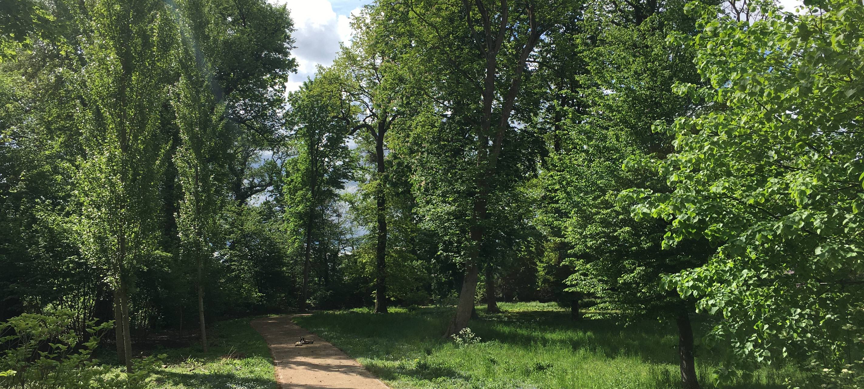 Wiedereröffnung vom Großen Inselweiher