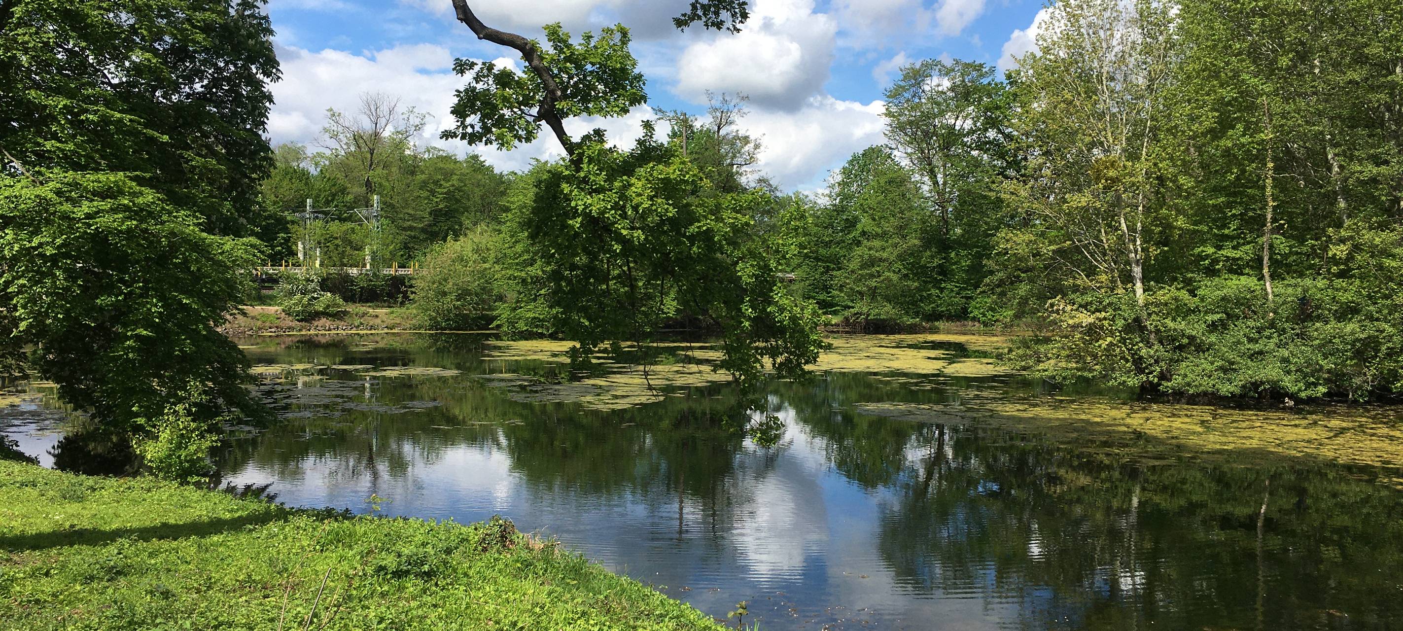 Wiedereröffnung vom Großen Inselweiher