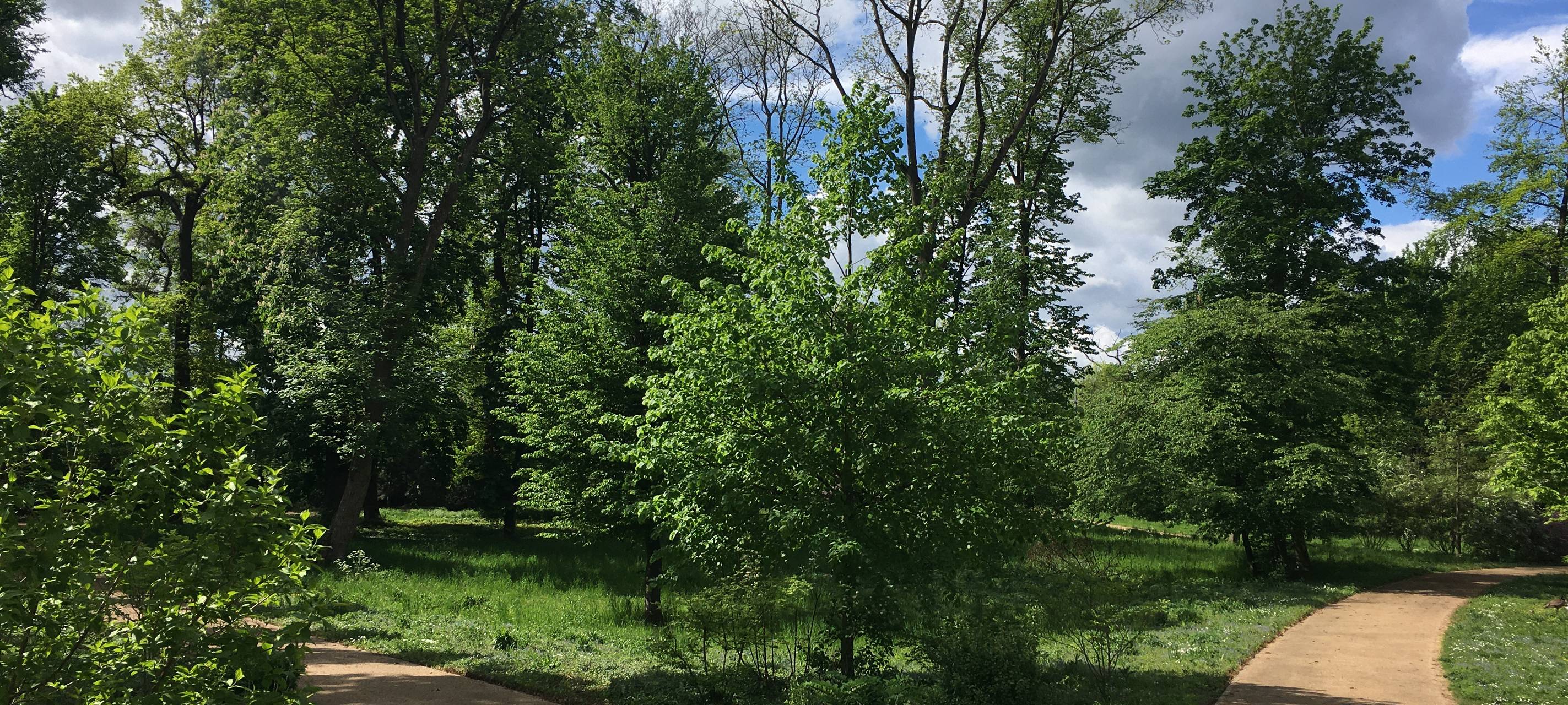 Wiedereröffnung vom Großen Inselweiher