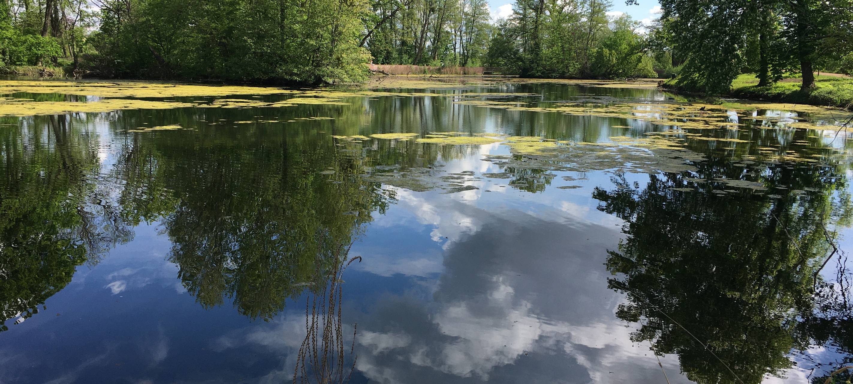 Wiedereröffnung vom Großen Inselweiher