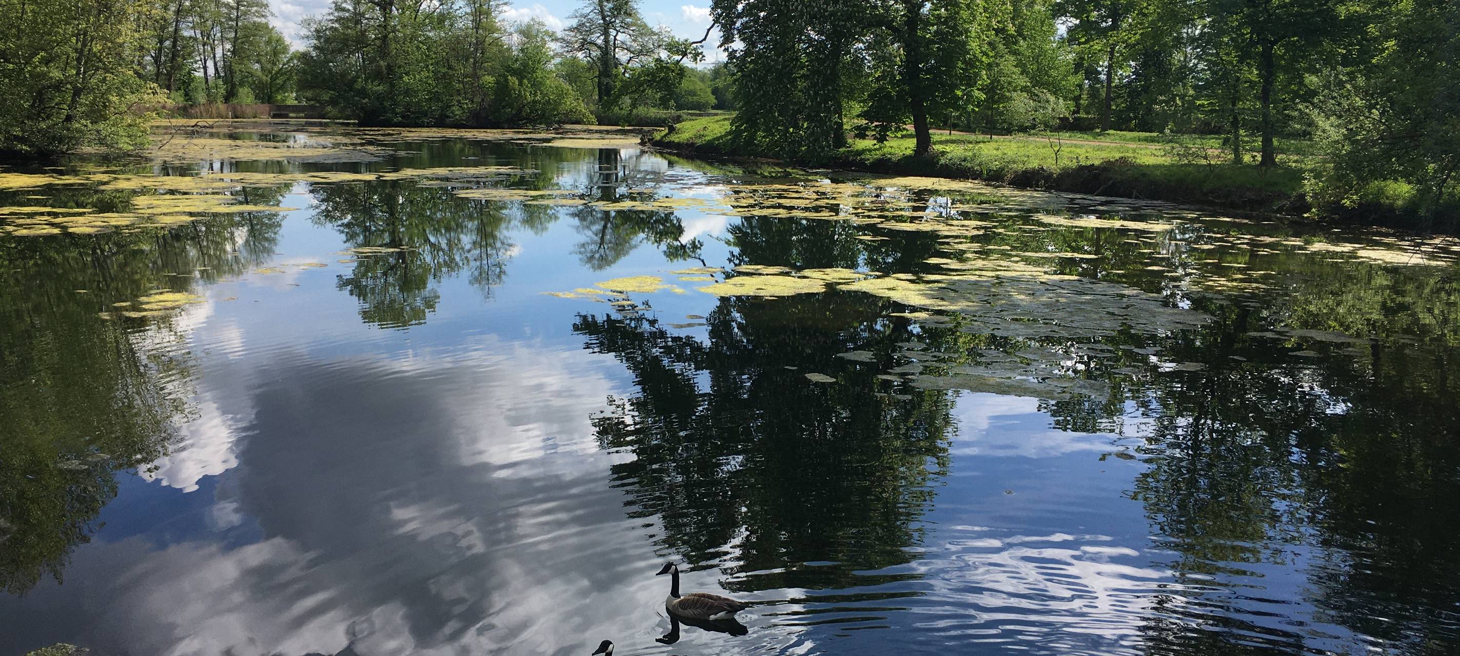 Wiedereröffnung vom Großen Inselweiher