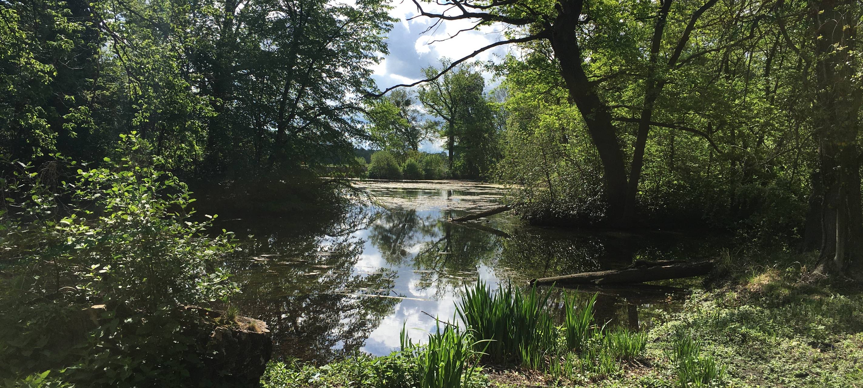 Wiedereröffnung vom Großen Inselweiher