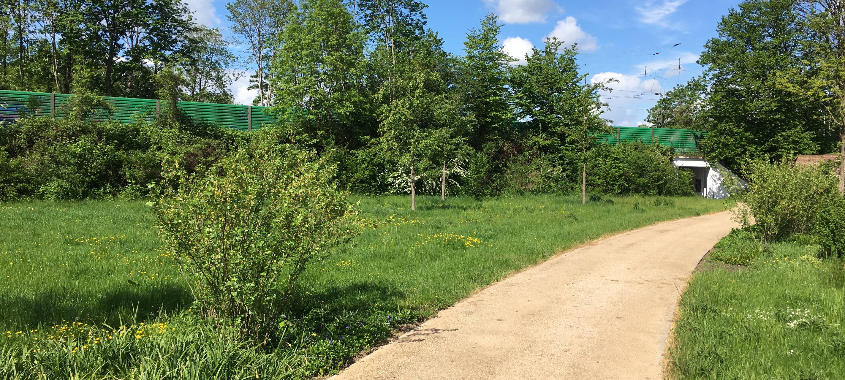 Wiedereröffnung vom Großen Inselweiher