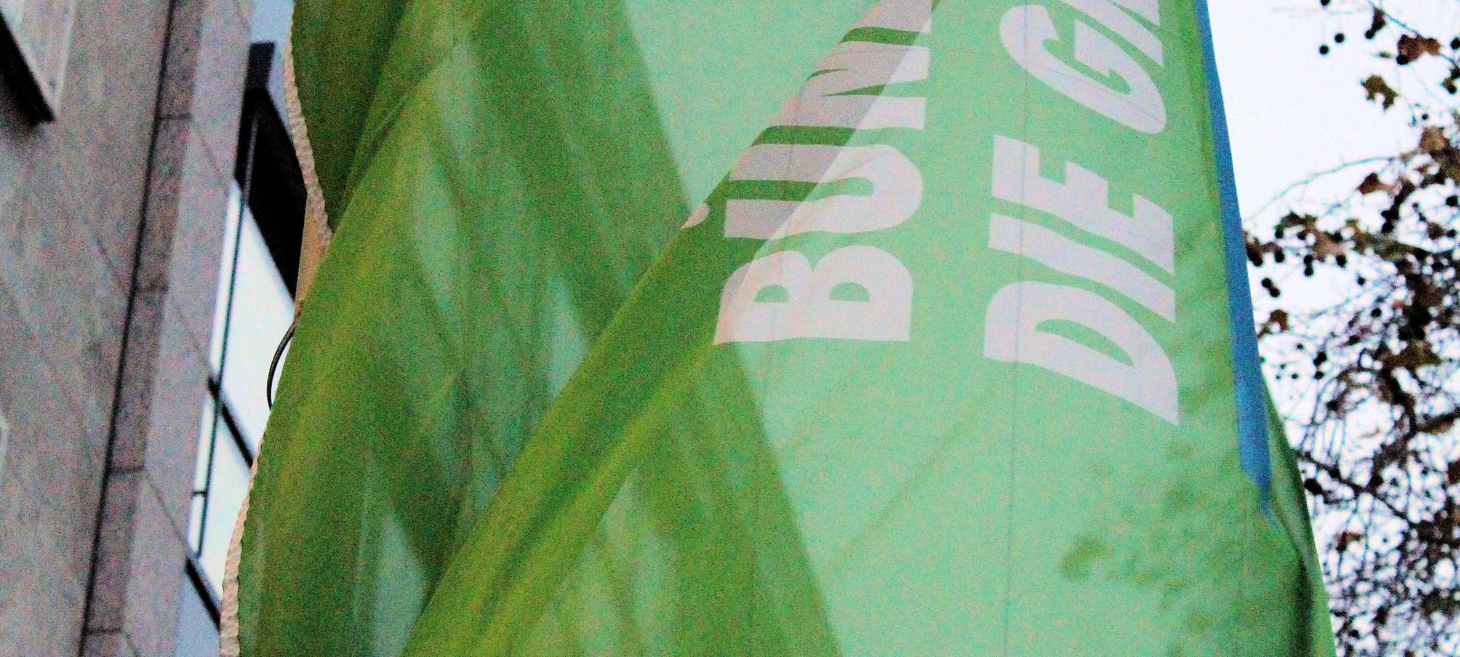 Rhein-Erft: Grüne im Kreis sehen Koalition mit CDU positiv