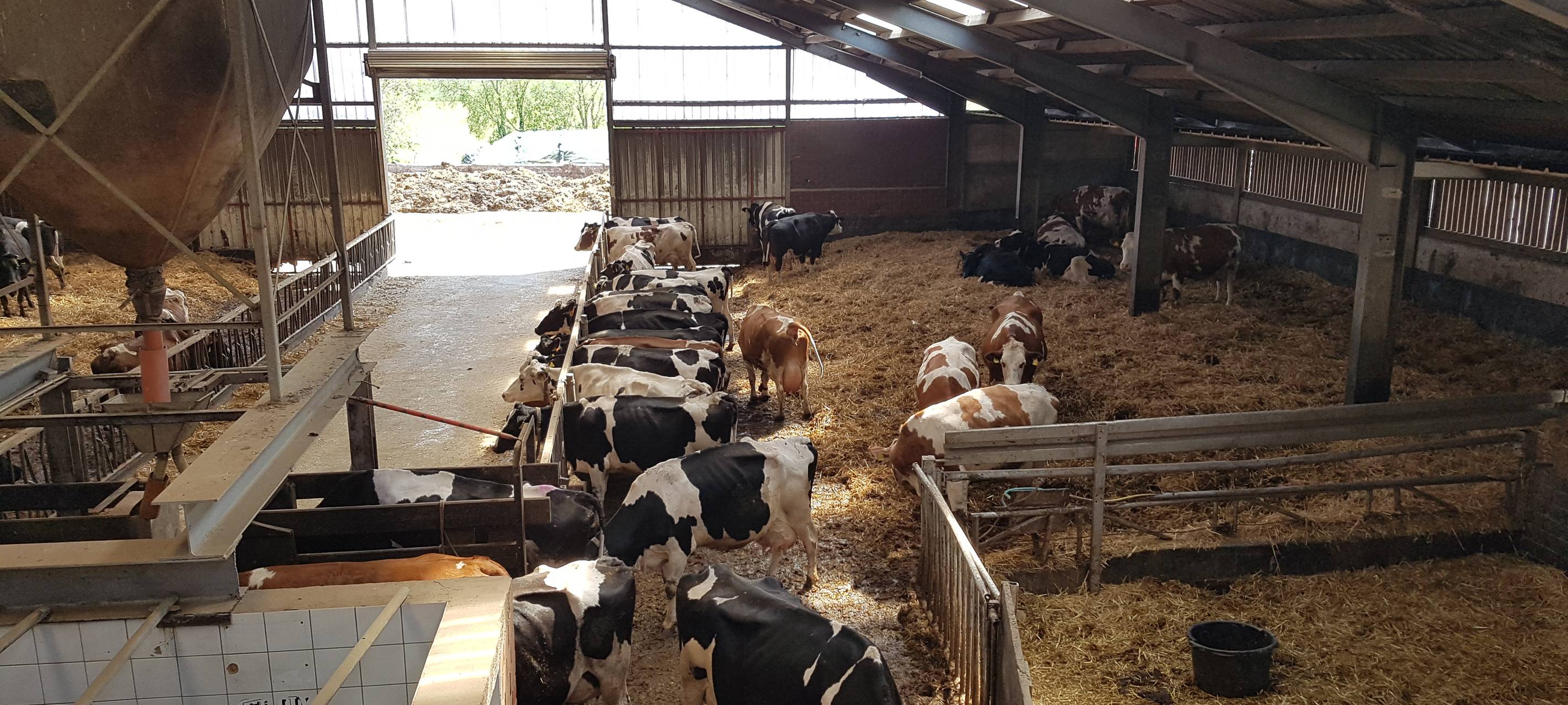 Region/Hürth: Landwirtschaftskammer NRW sucht beste Melker