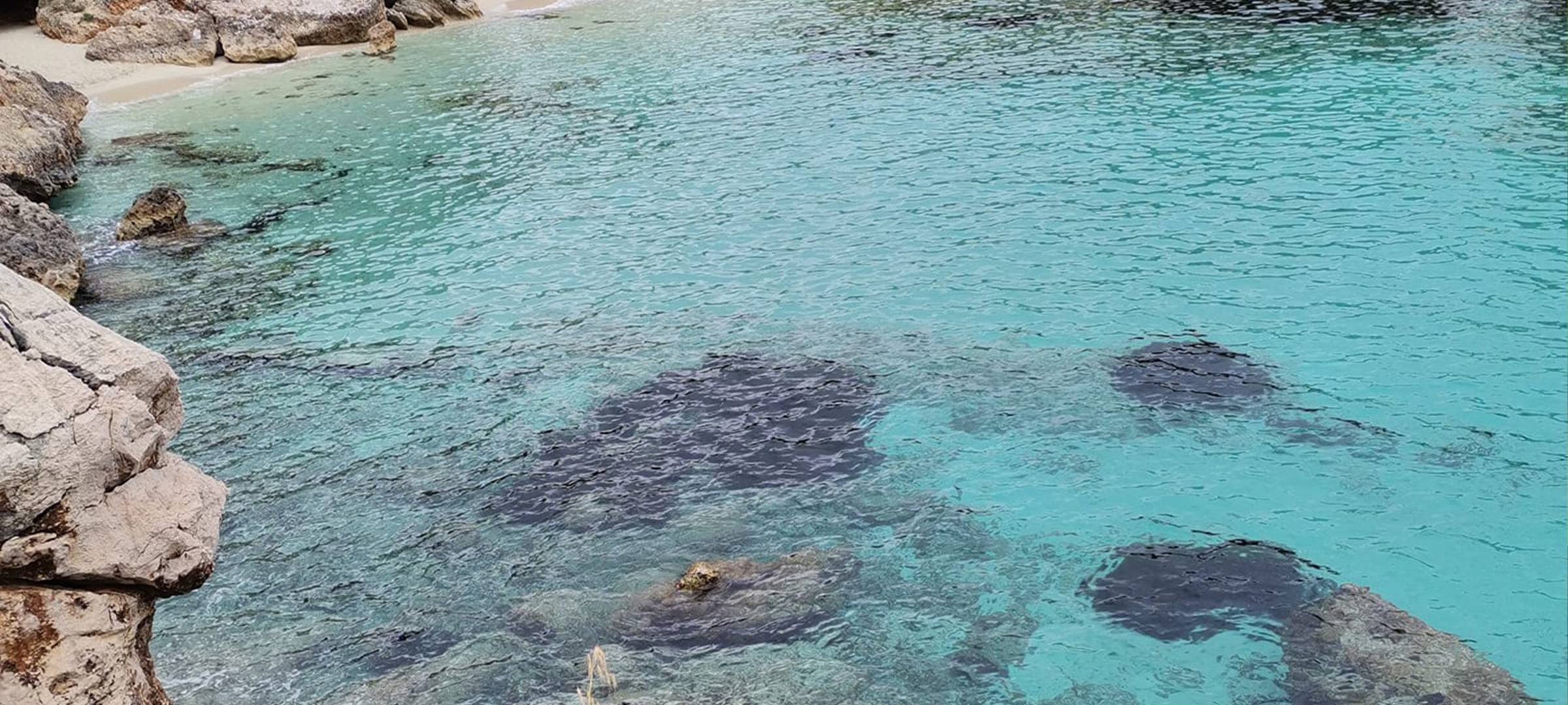 Mallorca