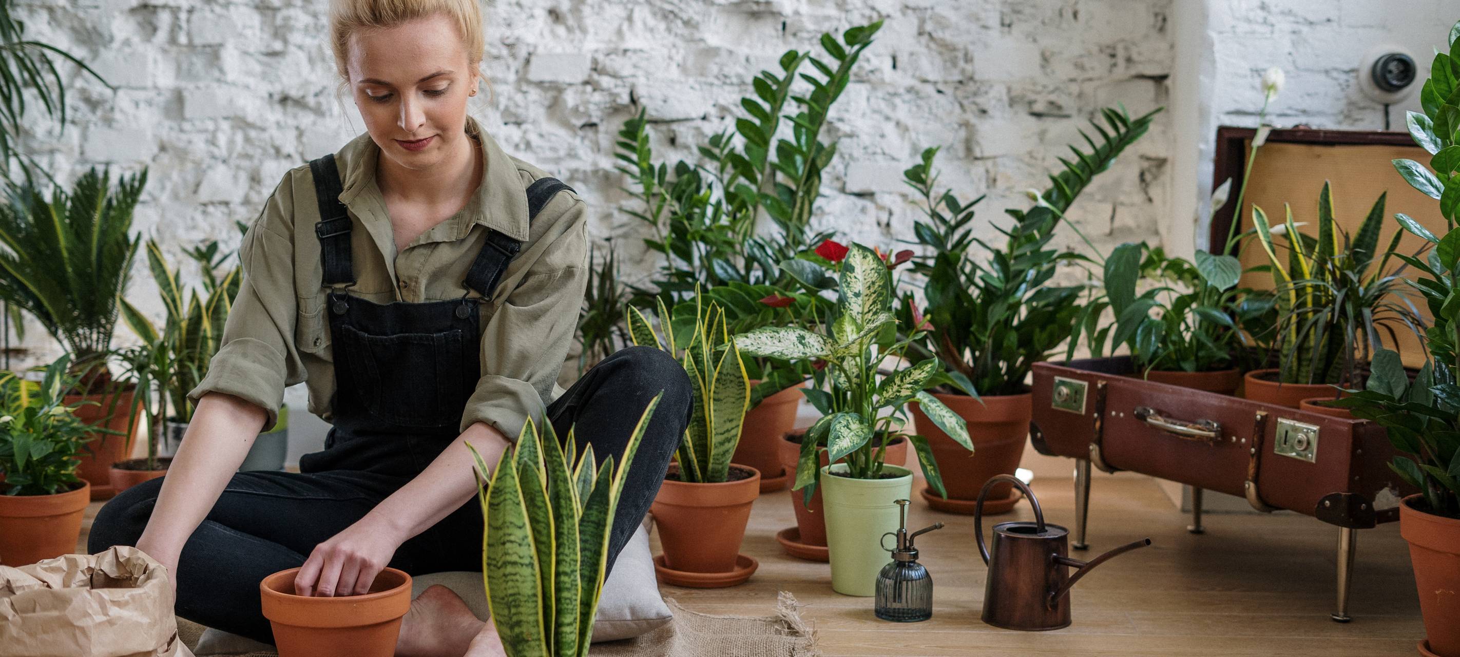 Garten-Apps im Test