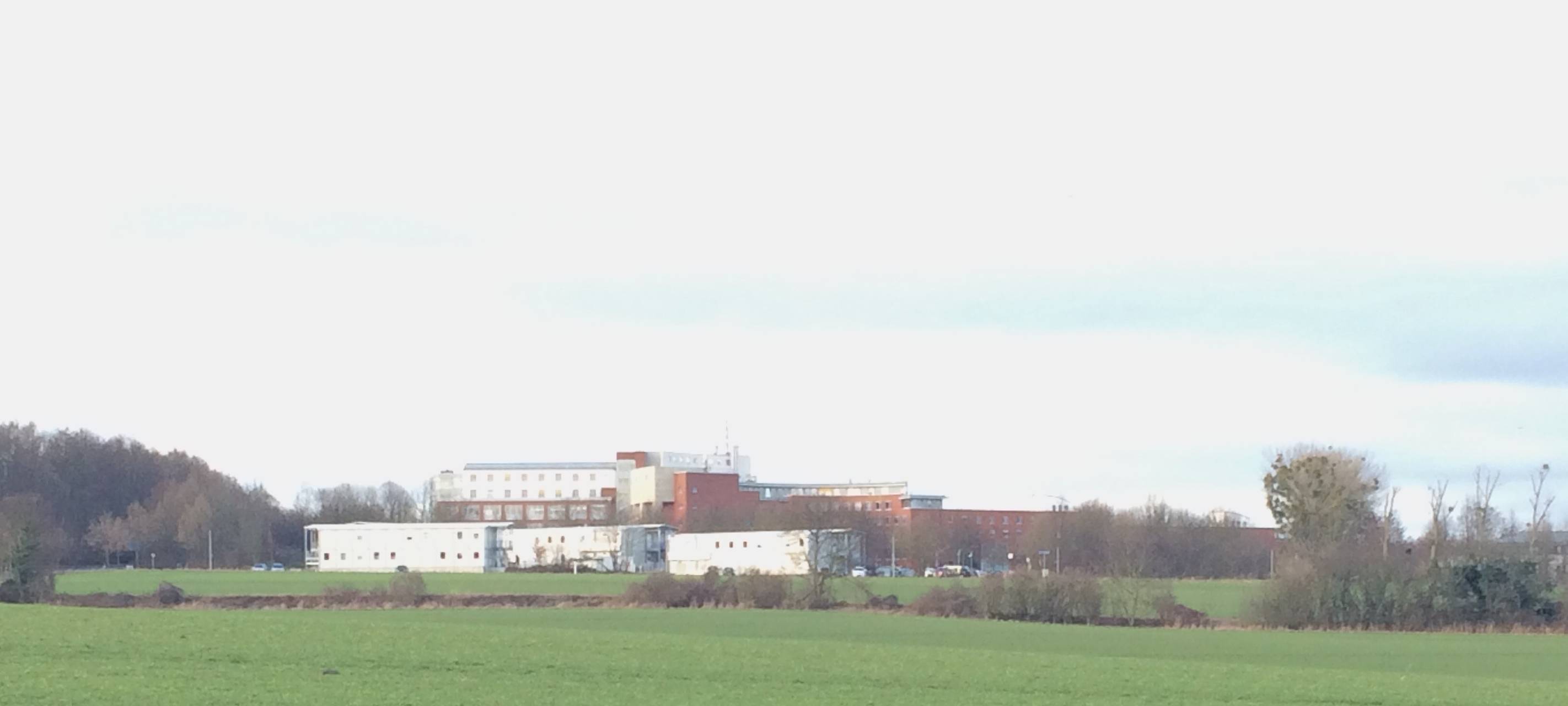 Brühl: Fläche an der Hochschule bleibt vorerst Acker