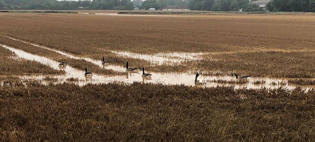 Rhein-Erft Unwetter Updates