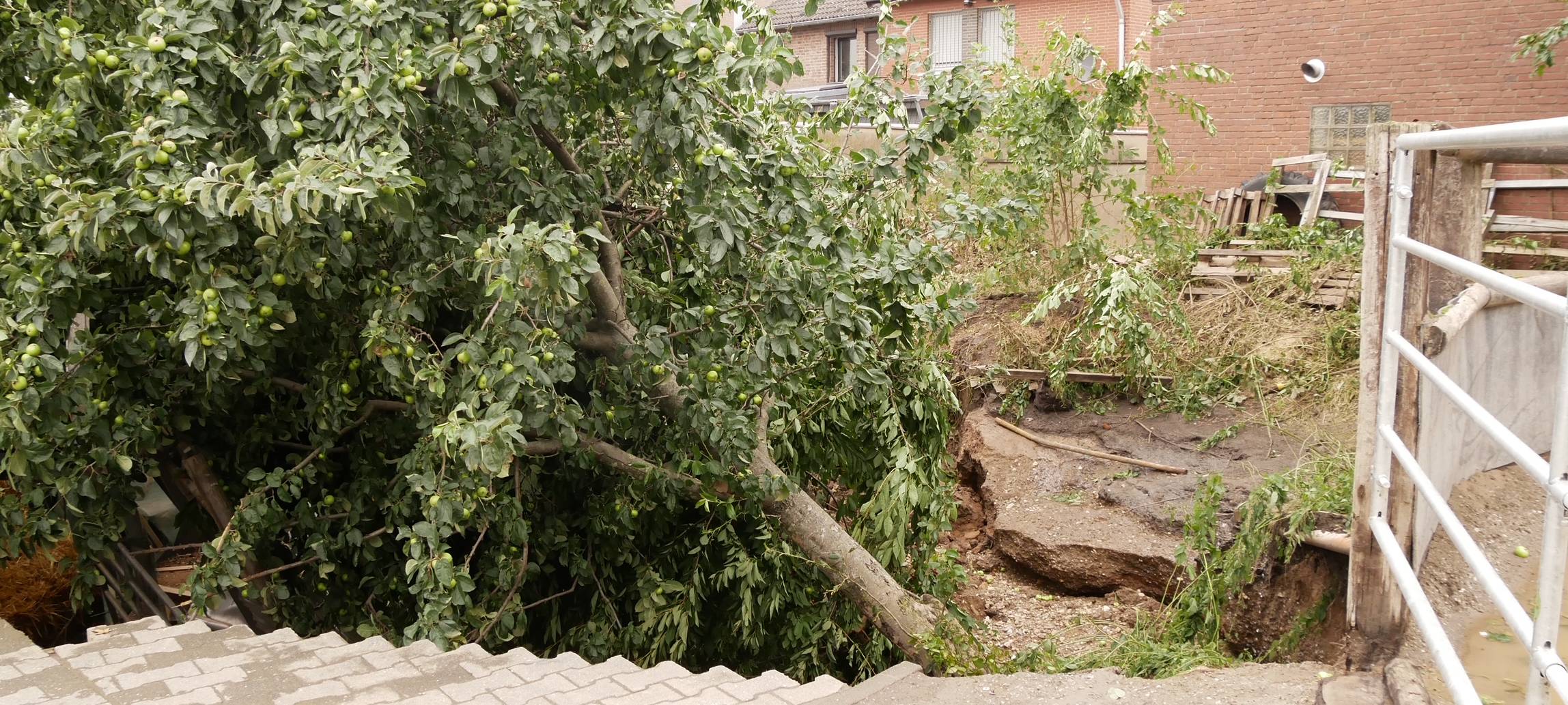 Rhein-Erft Unwetter Updates