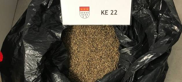 Köln: Über zwei Millionen Cannabis-Samen entdeckt
