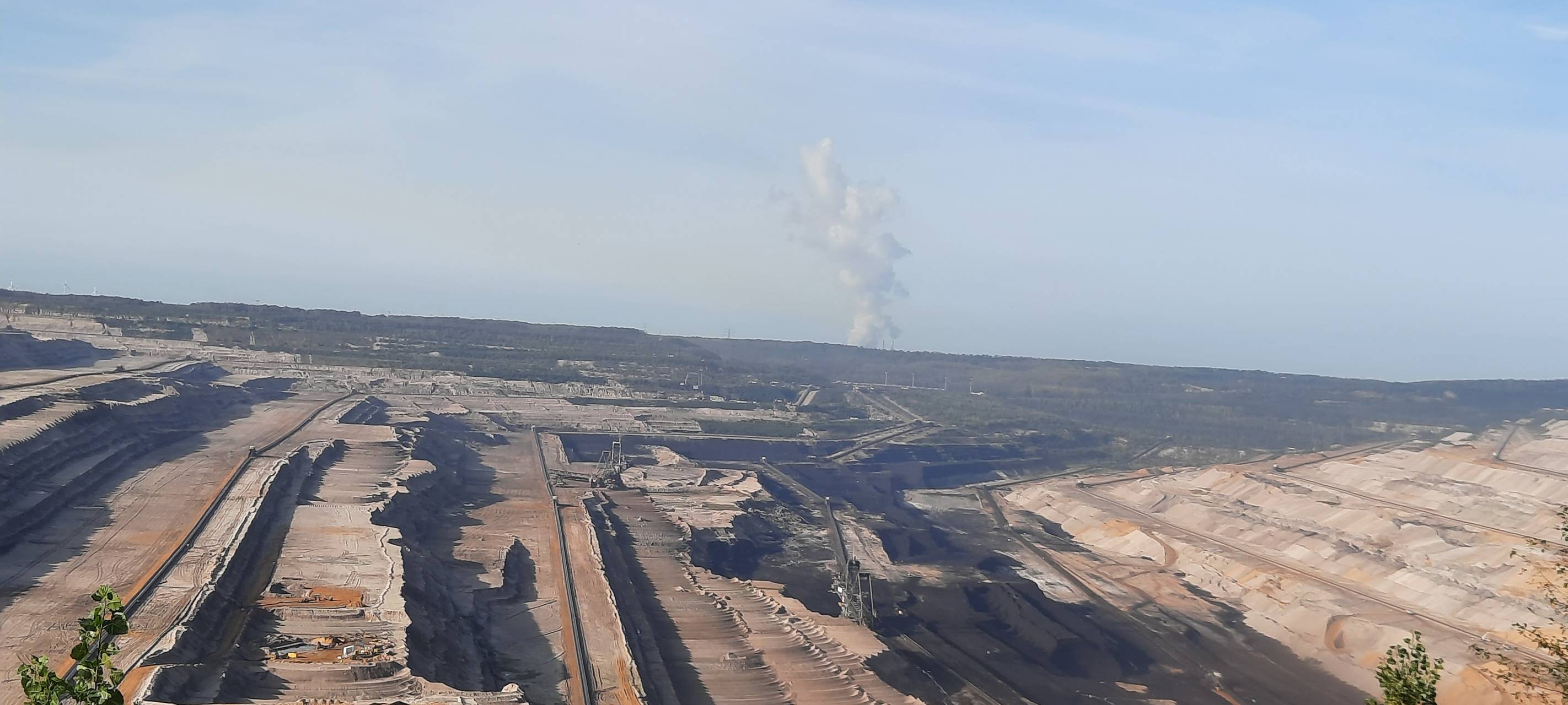 Kerpen: K53 gesperrt - RWE startet Rodungsarbeiten