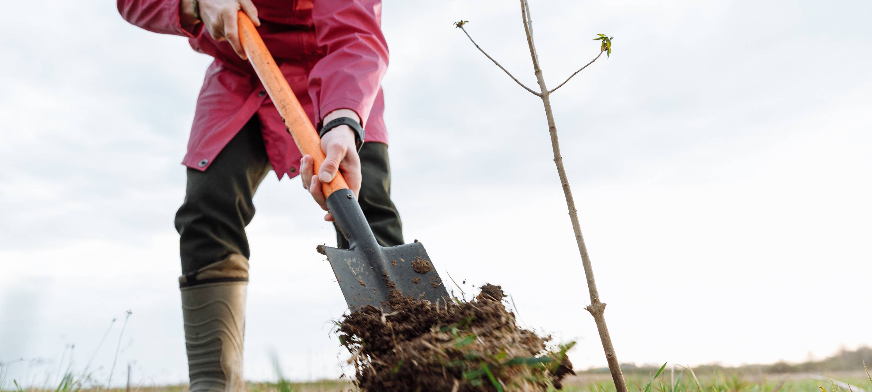 Kerpen: SPD bringt Landesgartenschau wieder ins Gespräch