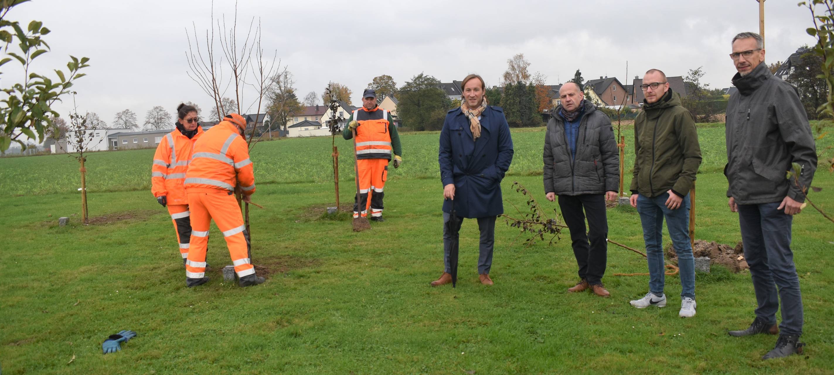 Elsdorf: Storchenwiese in Grouven bekommt "Ersatzbäume"
