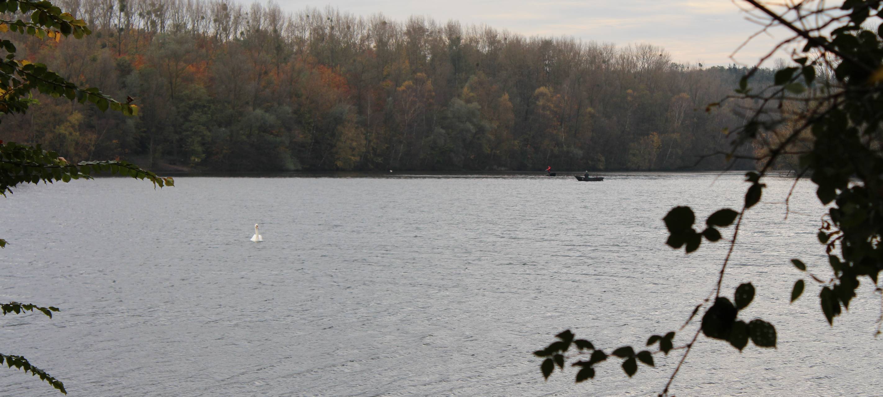 Regeln am Heider Bergsee