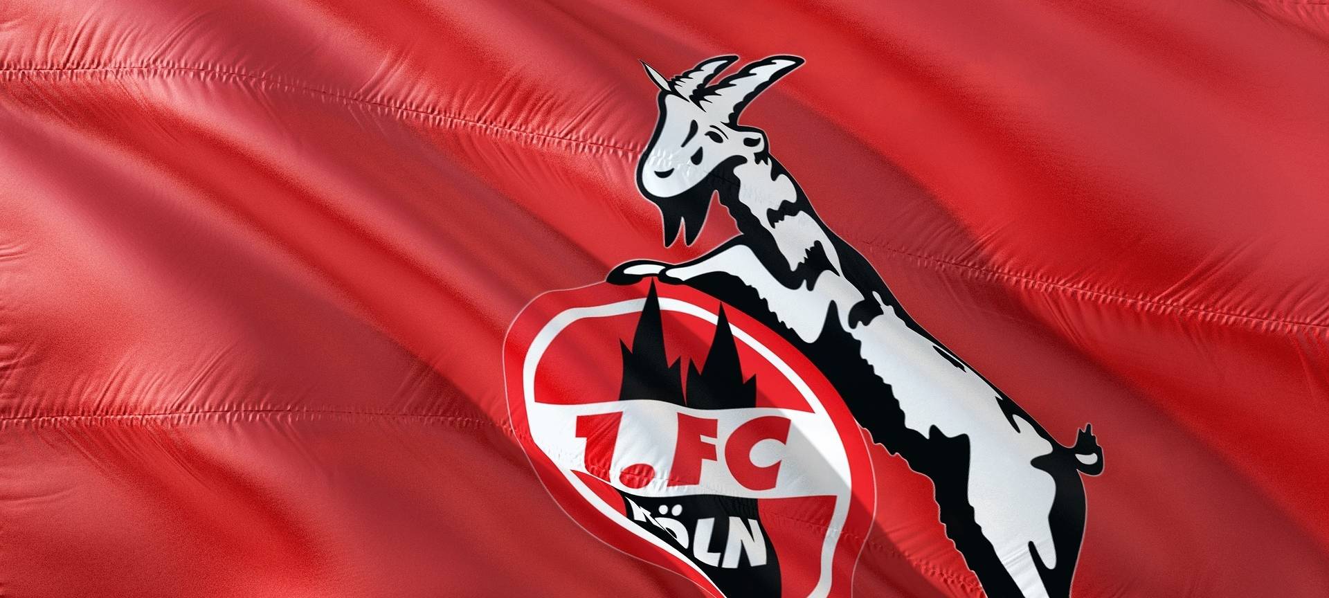 Köln: FC eröffnet Saison mit Fanfest