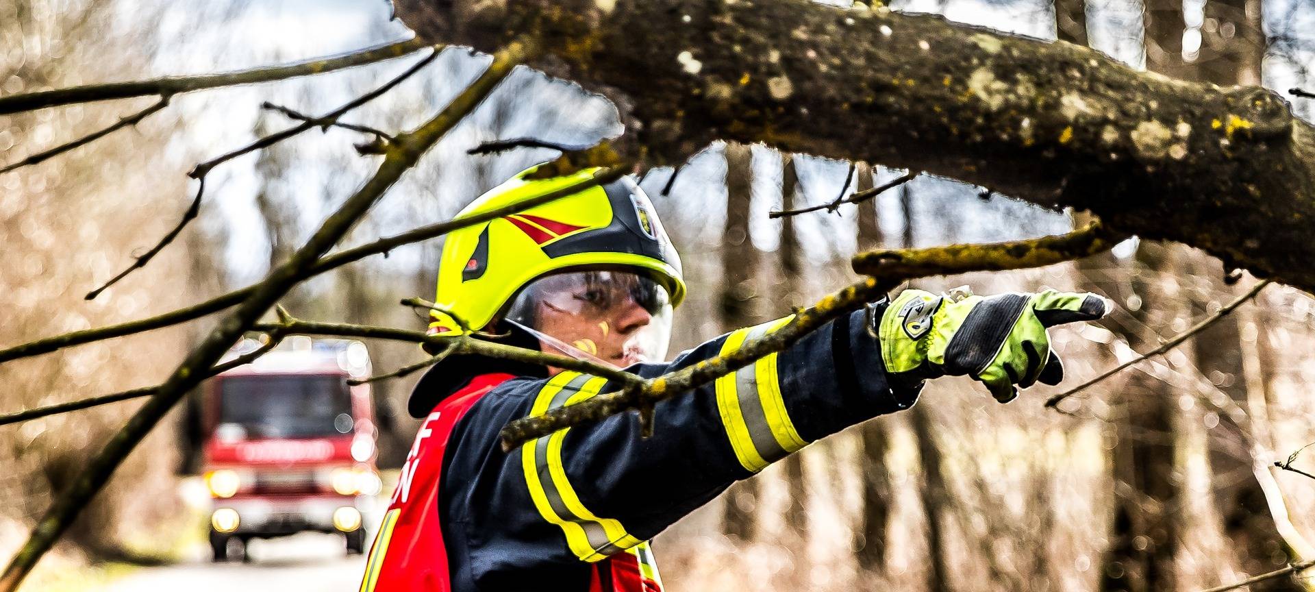 Kerpen: Pferd von Baum erschlagen