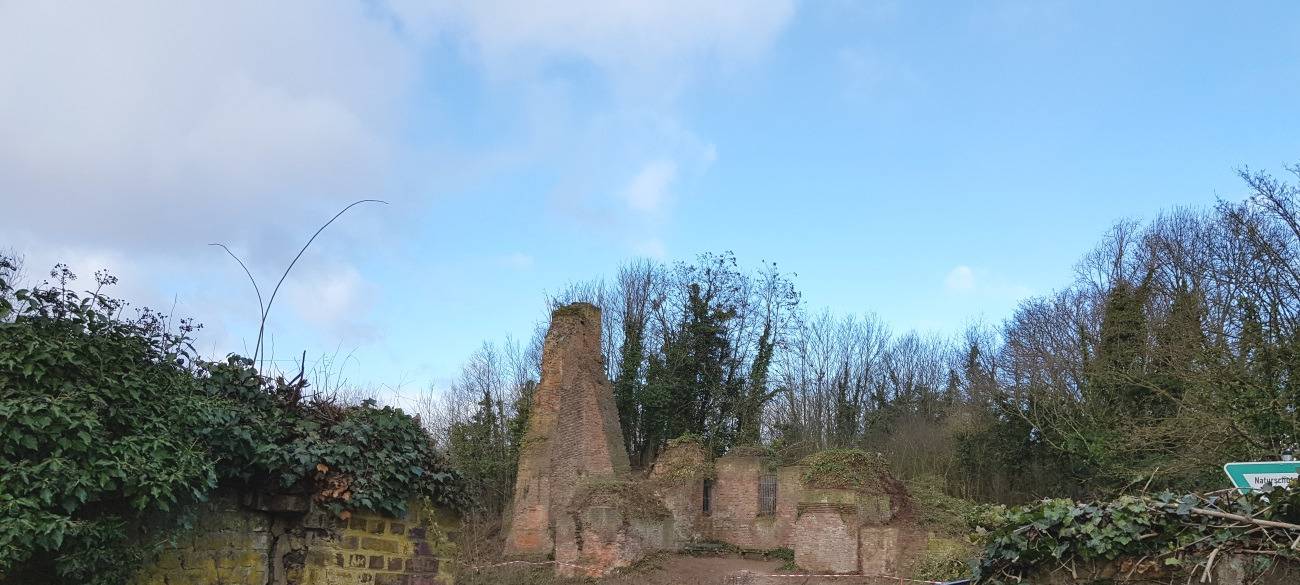Burgruine ist wieder gut zu sehen
