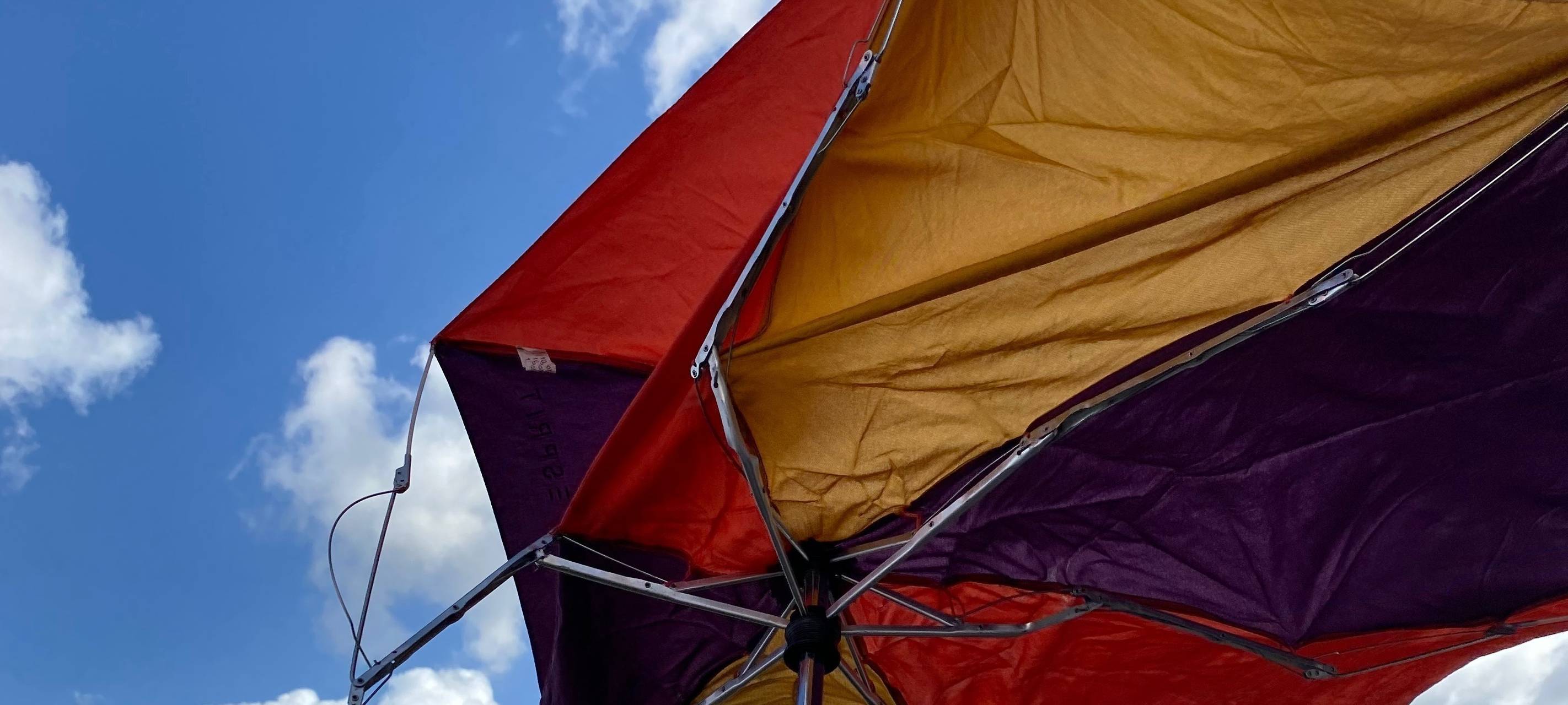 Rhein-Erft: Böiger Wind lässt Bäume und Äste abknicken
