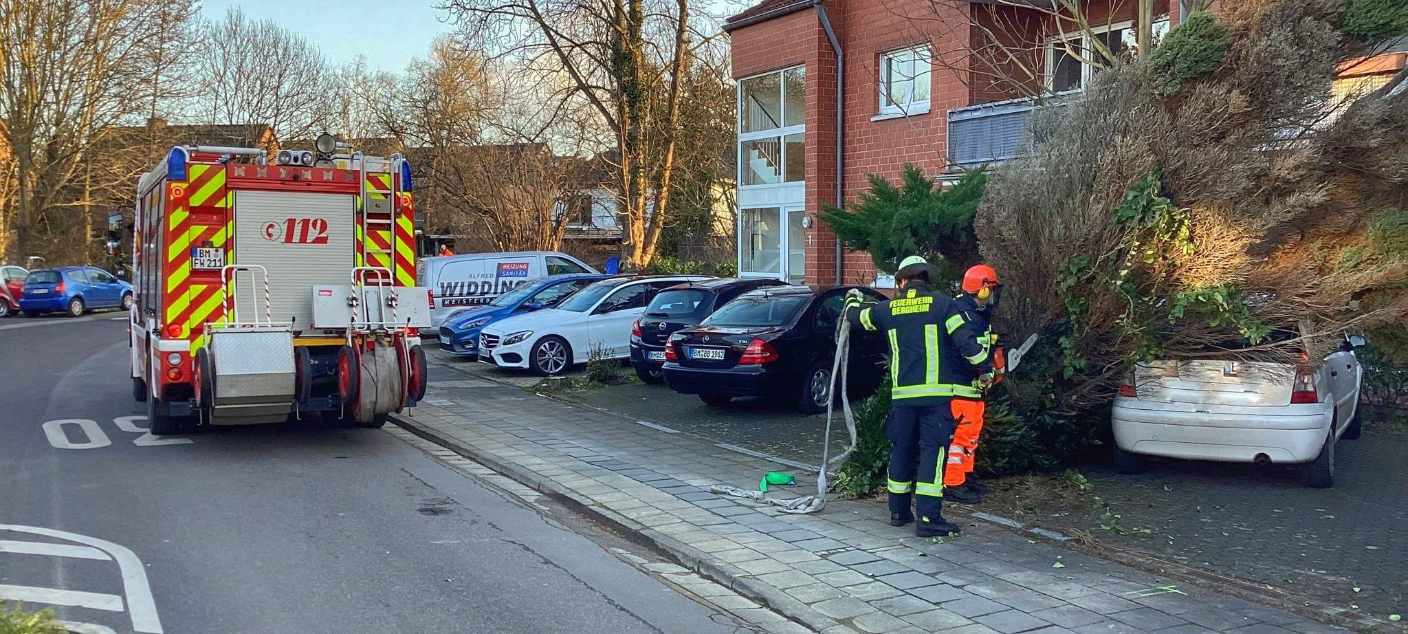 Rhein-Erft: Viele Sturmeinsätze, verletzt wurde wohl niemand