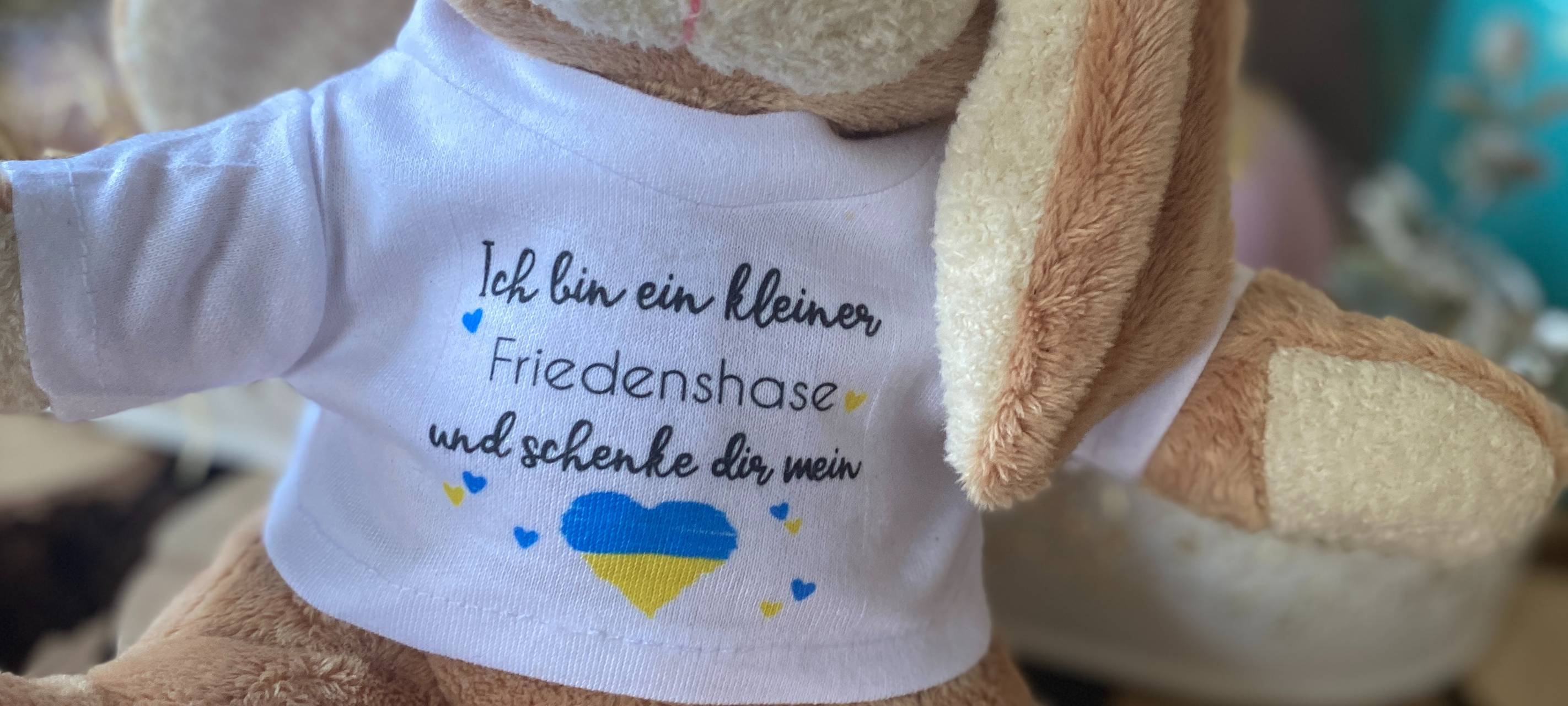 Elsdorf: "Friedolin" soll ukrainischen Flüchtlingen helfen