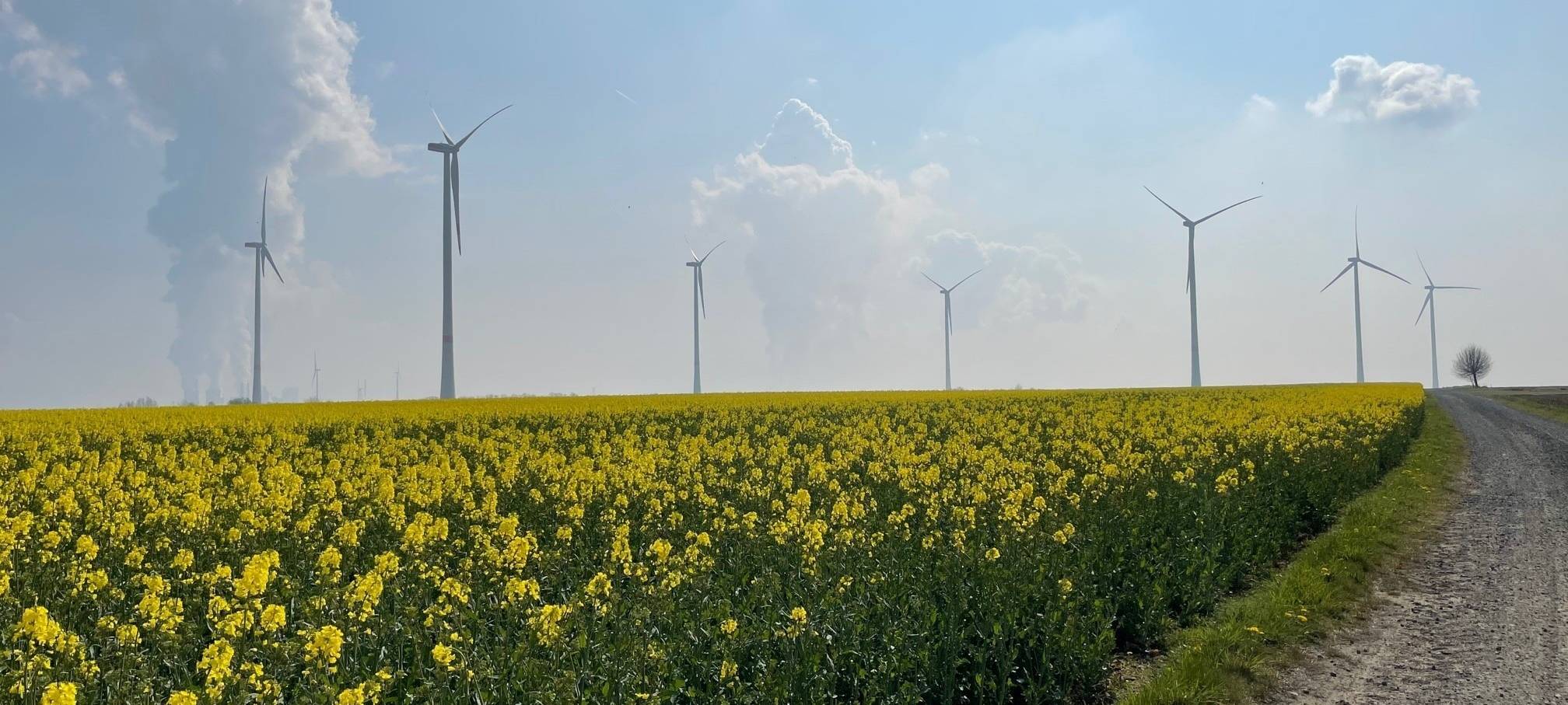 Bedburg: Treibhausgasneutral bis 2045