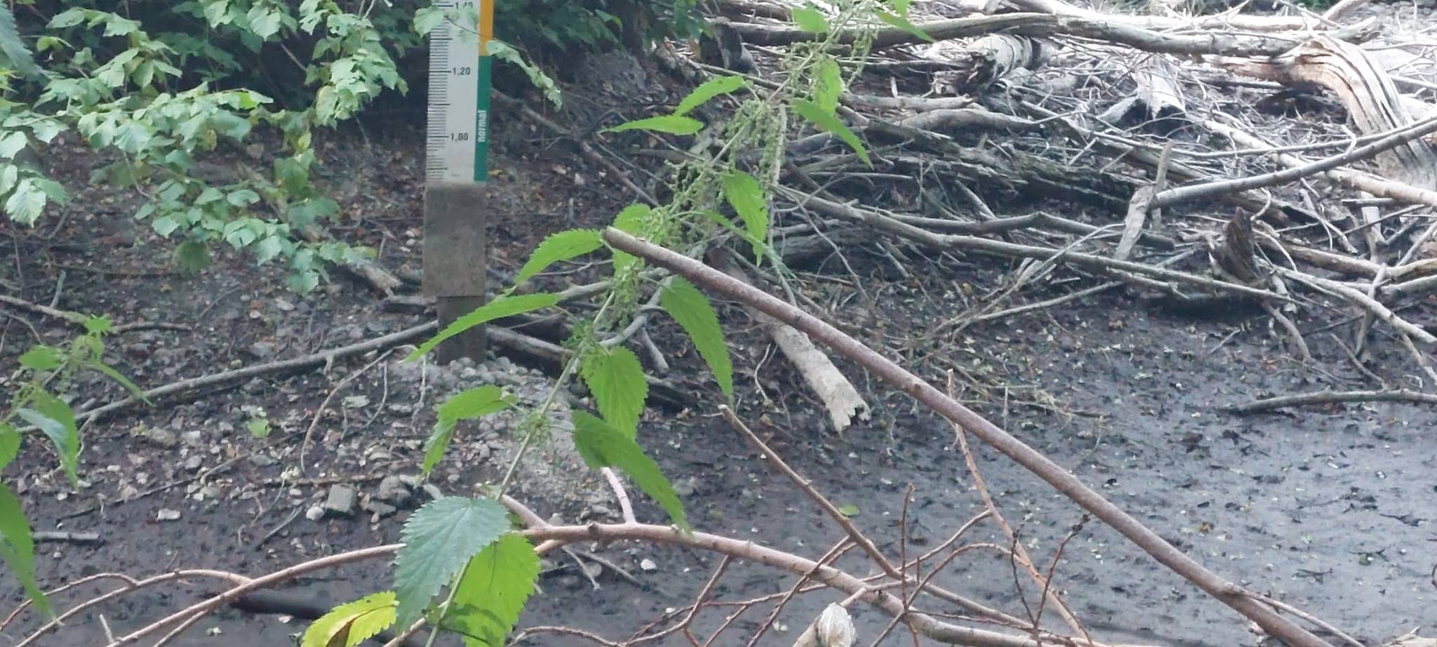 Pulheim: THW und Feuerwehr verhindern Austrocknen des Bachs