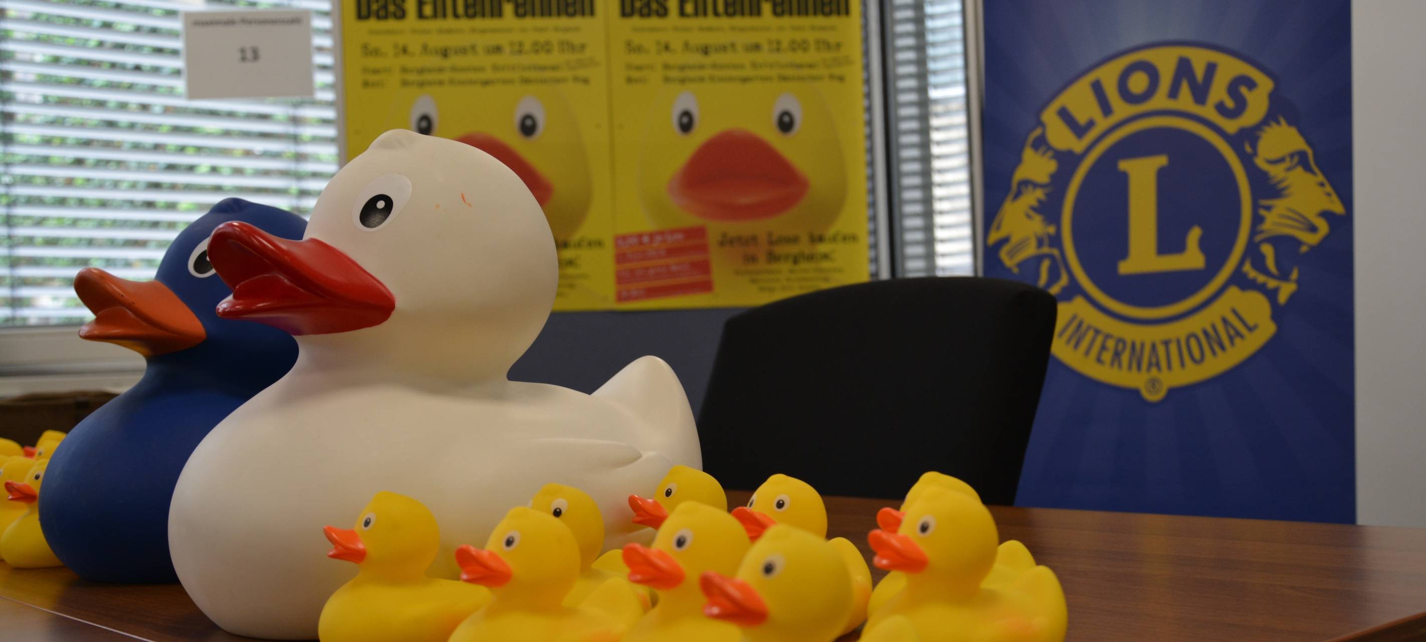 Bergheim: Rennen mit 3.000 Gummi-Enten auf der Erft