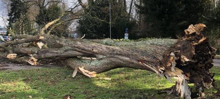 Sturmwarnung wieder aufgehoben