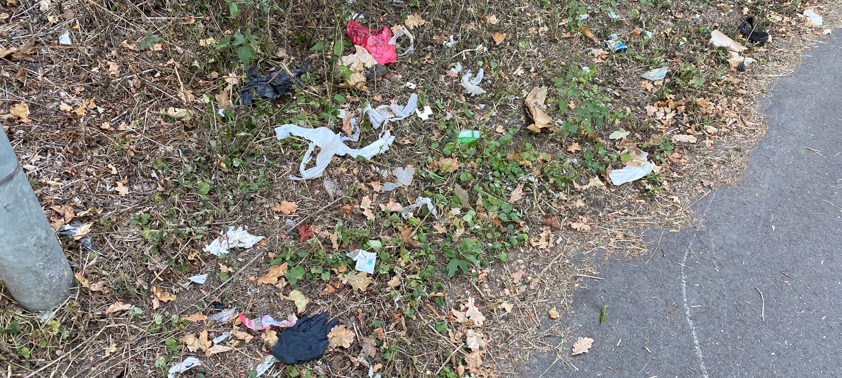 Wesseling: Kinder sind zum Frühjahrsputz unterwegs