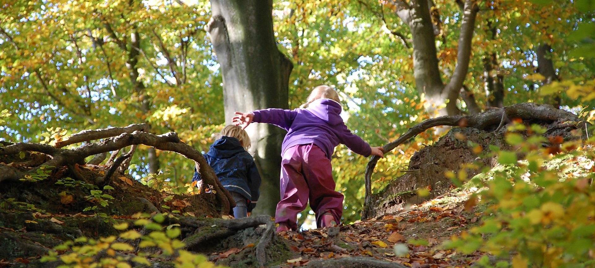 Kinder verlieren die Angst vor dem Wasser