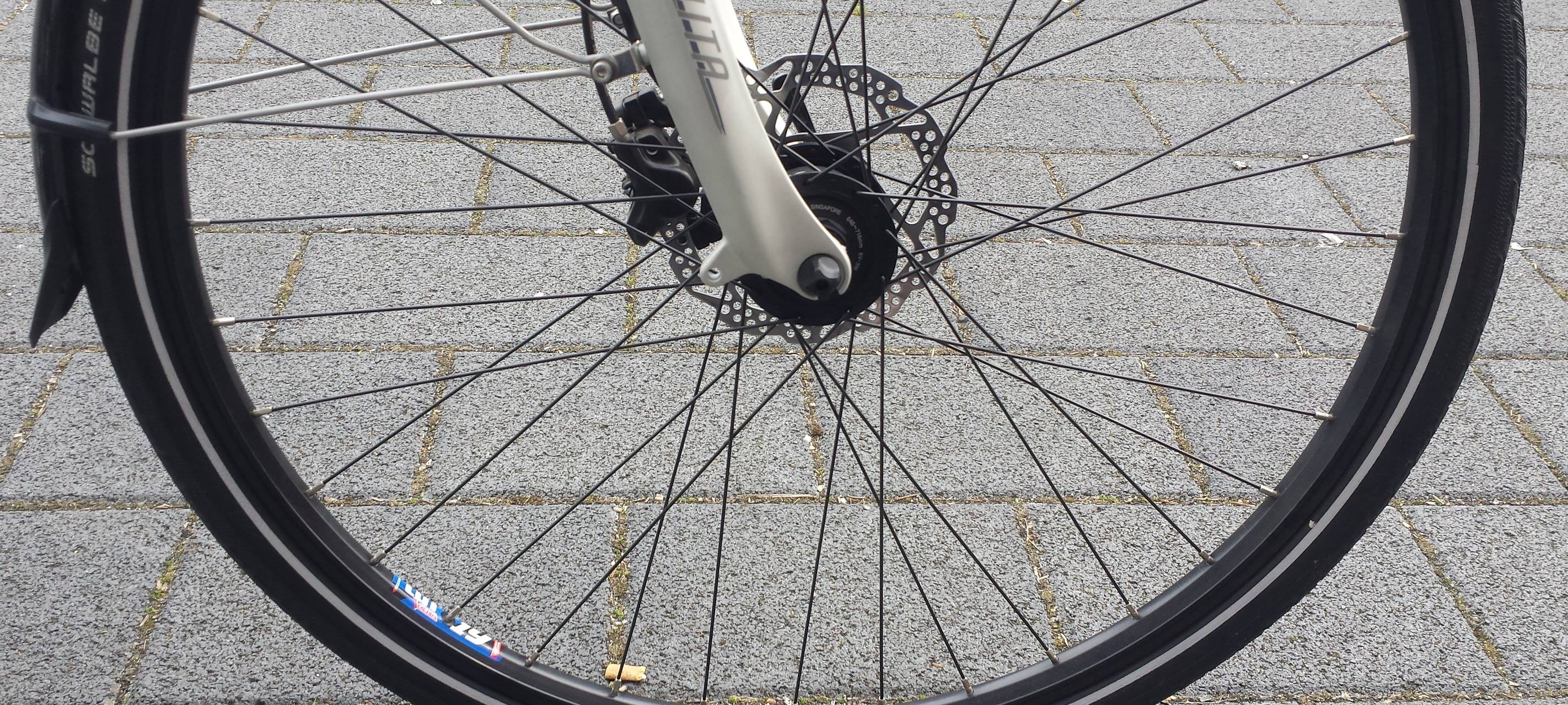 Elsdorf/Bedburg: Vorarbeiten für den Alleenradweg beginnen