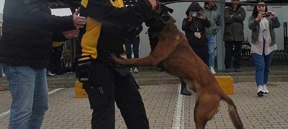 Rhein-Erft: Wegen Hunde-Angriffen - Post schult Zusteller