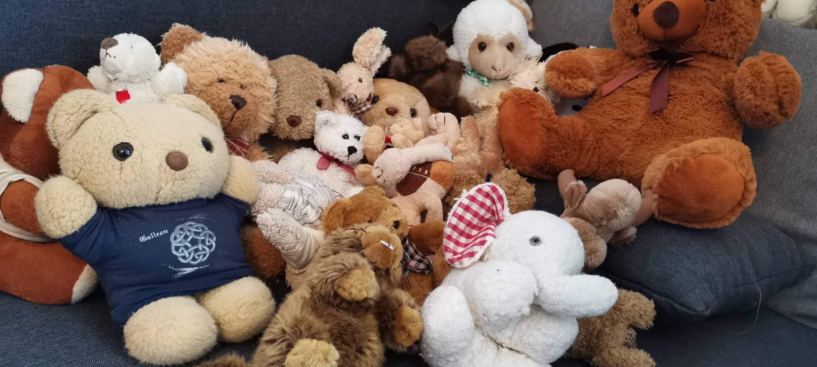 Teddyklinik in Pulheim-Sinnersdorf öffnet für Kinder