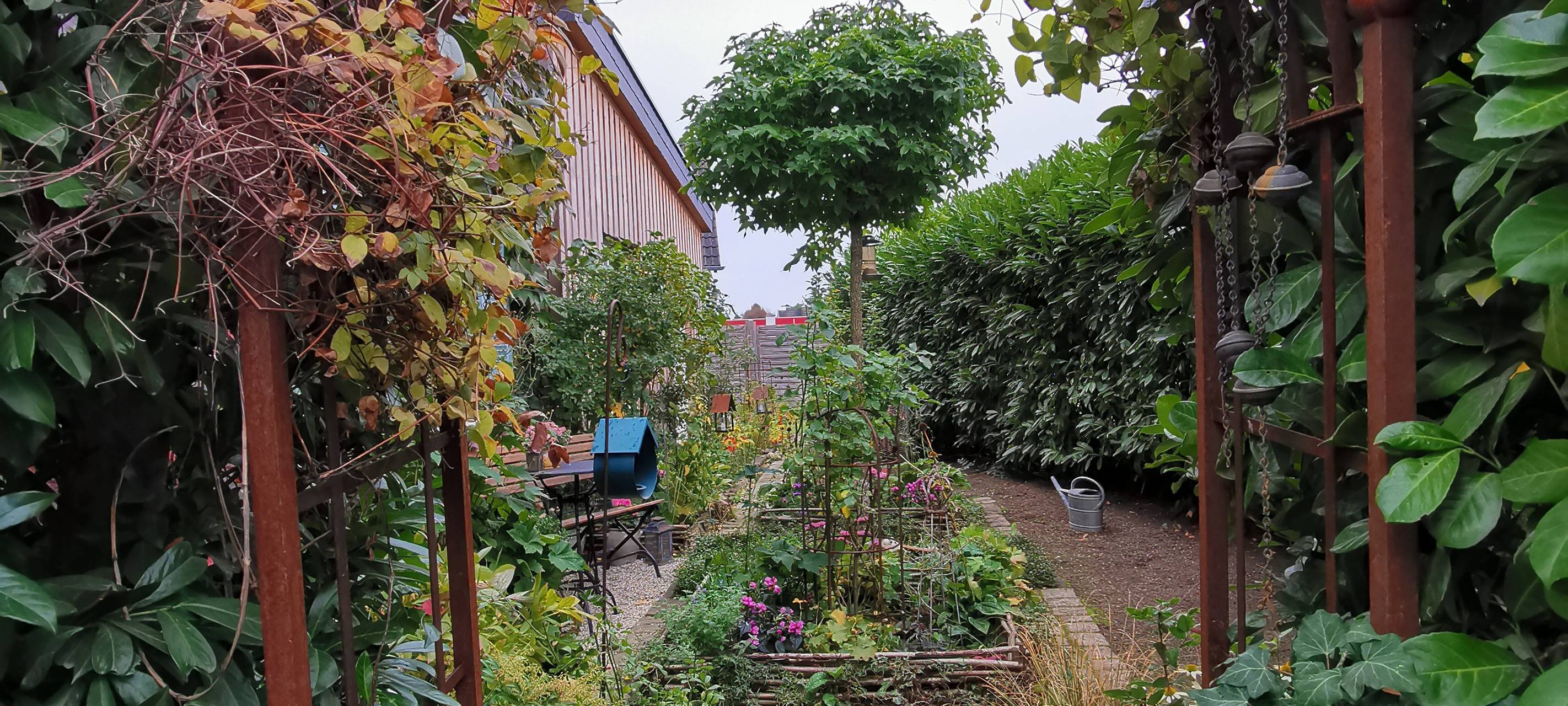 Kerpen: Schönster Vorgarten in Brüggen