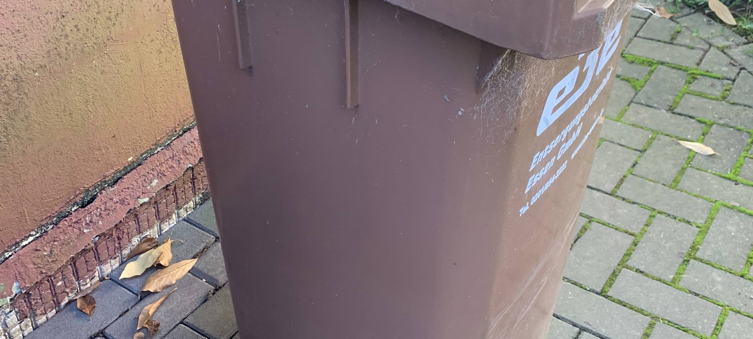 Brühl: Abhilfe bei stinkenden Mülltonnen