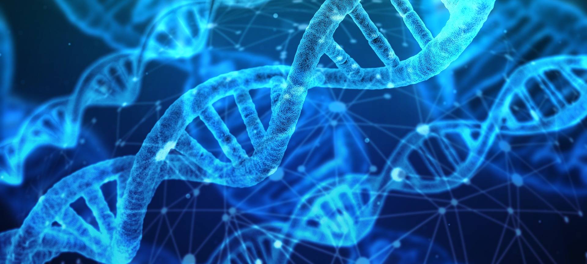 Köln: Polizei informiert über DNA-Reihentestung