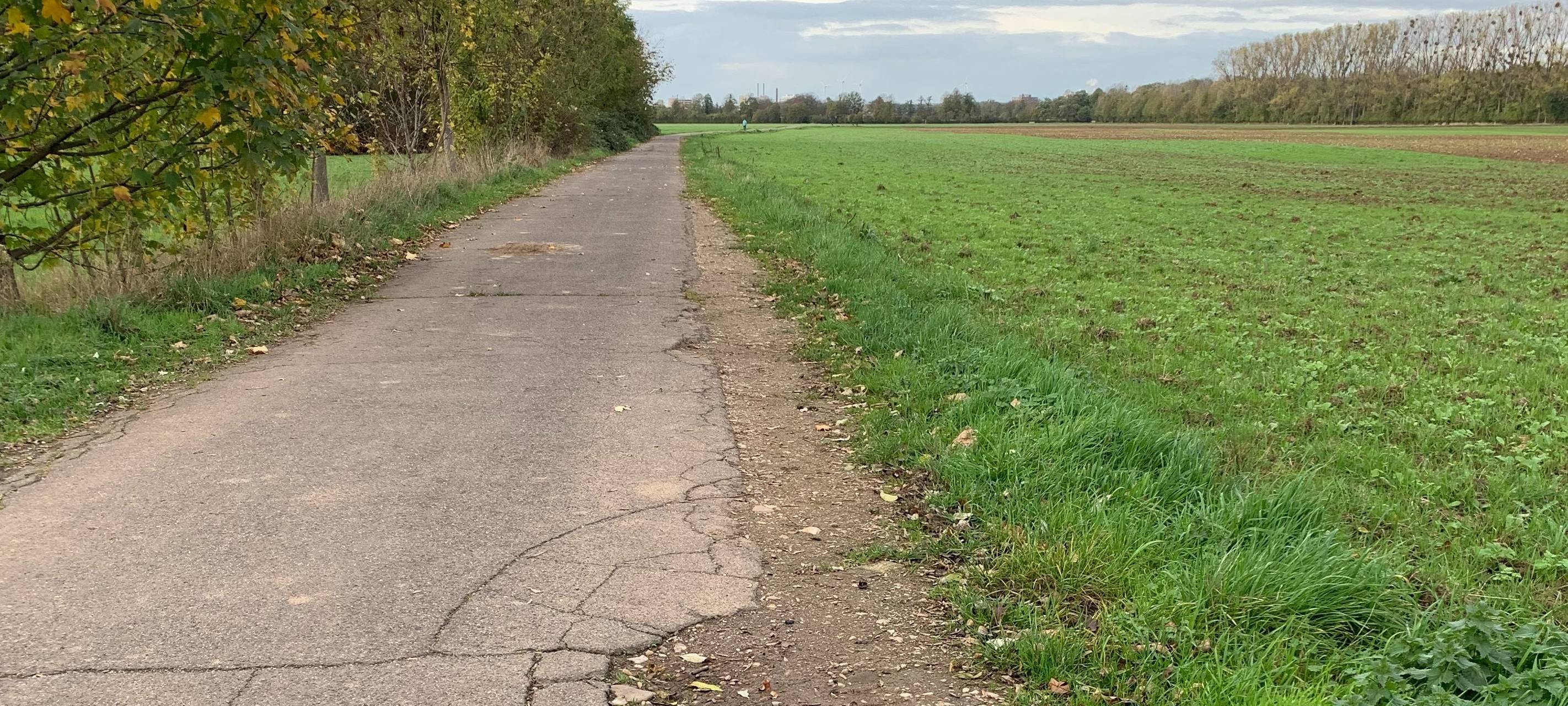 Kerpen: Stadt will Schäden an Erft-Radweg ausbessern