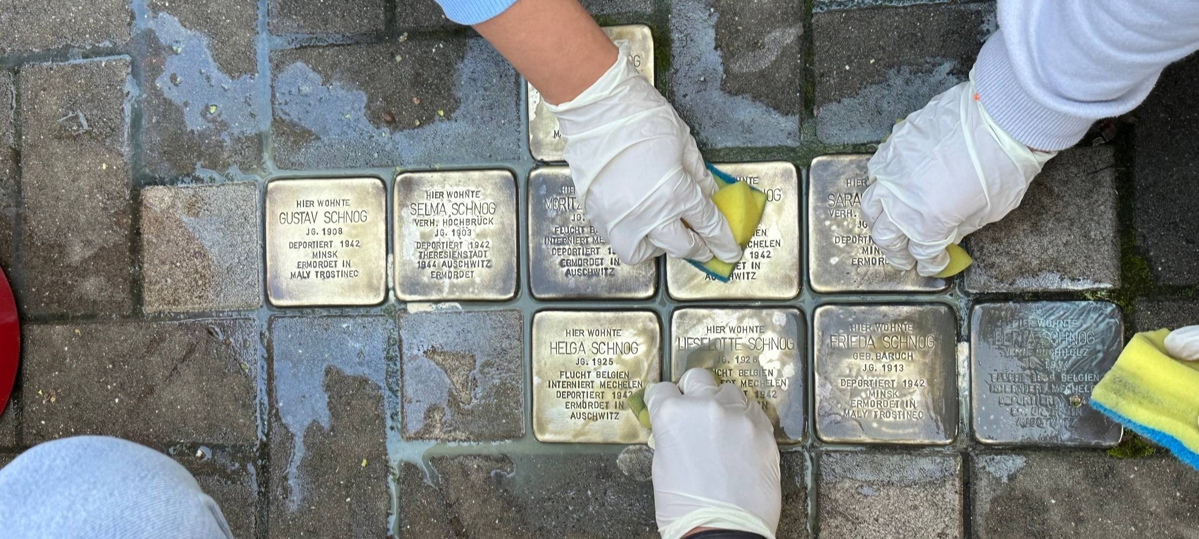 Bergheim: Schulklassen putzen Stolpersteine