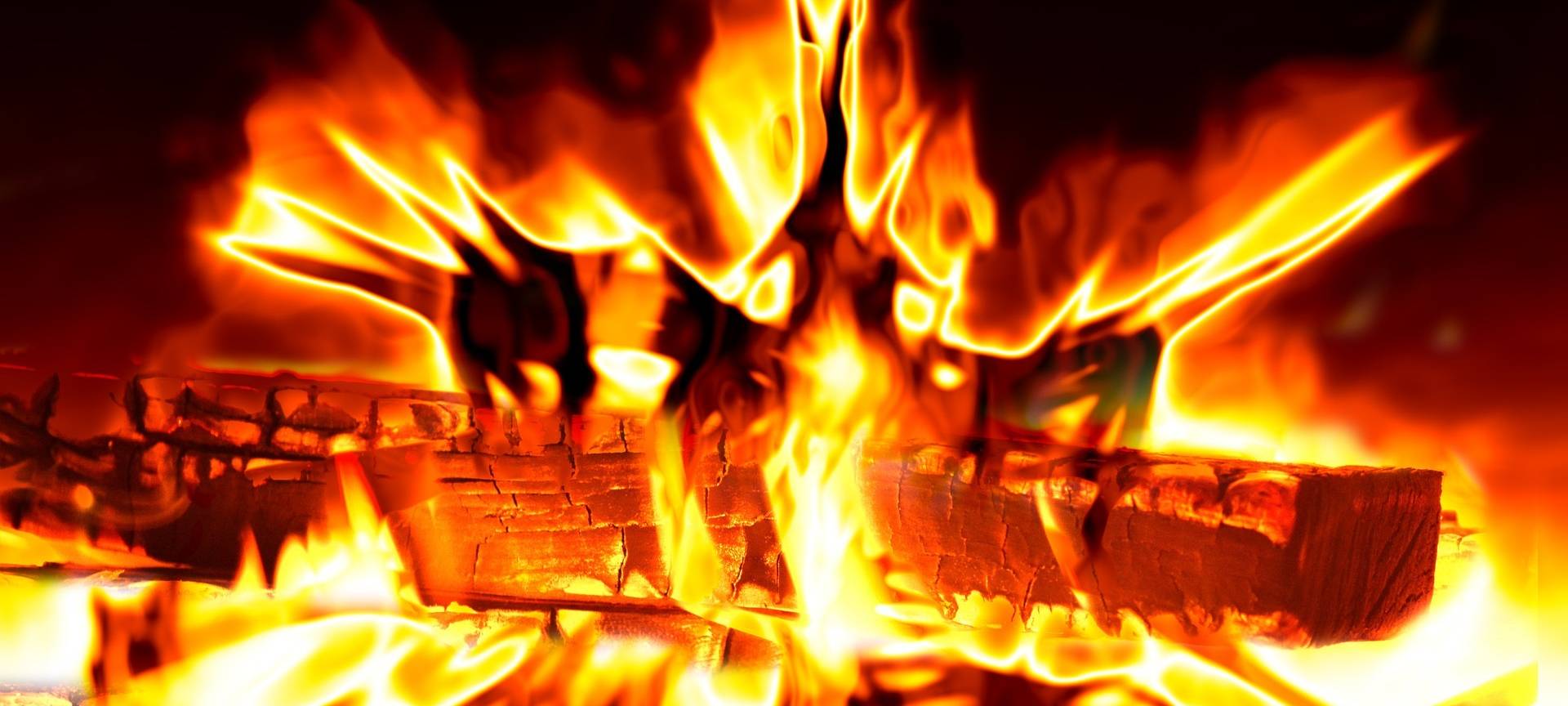 Erftstadt: Waldweihnacht im Friesheimer Busch