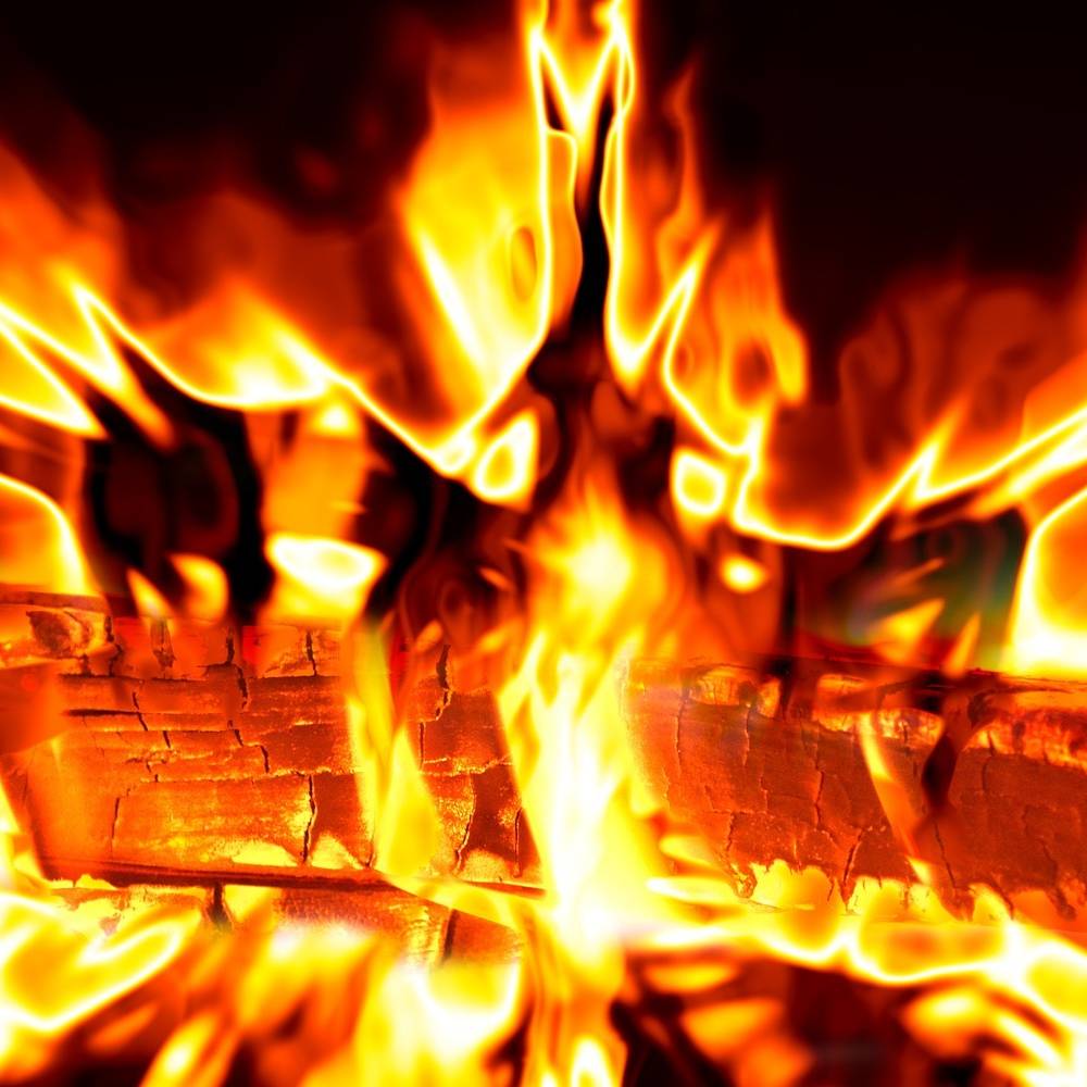 Erftstadt Waldweihnacht im Friesheimer Busch Radio Erft