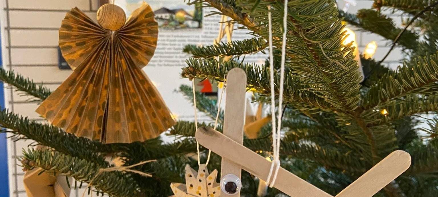 Elsdorf: Wunschbaum steht im Rathaus